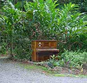 letterbox at rainforest hideaway B&B accommodation in cape tribulation north queensland