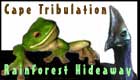 cape tribulation rainforest hideaway