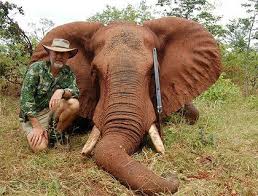 psycho elephant killer