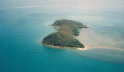 snapper island