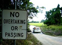 cape tribulation to cooktown road