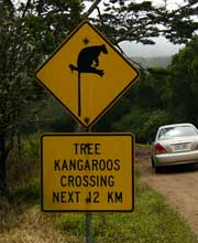 tree kangaroo sign