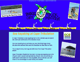 website design