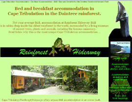 website design