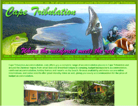 website design