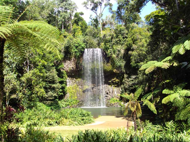 millaa millaa falls in cairns highlands