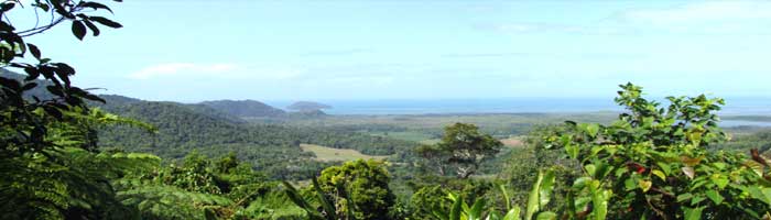 view from alexandra lookout on the way to cape tribulation