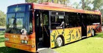 alice springs bus transport