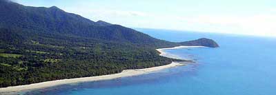 cape tribulation where rainforest meets reef