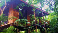 cape tribulation exotic fruit farm