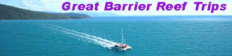 Online bookings for Cape Tribulation scuba diving here