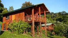 coral sea views bed and breakfast