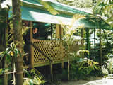 cape tribulation accommodation crocodylus yha youth hostel