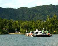 daintree river