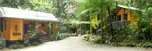 daintree accommodation