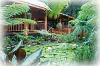 cape tribulation  massage