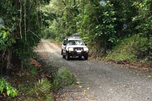 cape tribulation four wheel drive safari to bloomfield and cooktown