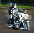 harlay davidson cruise along the great ocean road