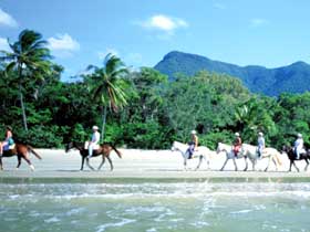 cape tribulation horse riding
