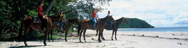 cape tribulation horse riding