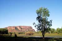 kakadu floodplain