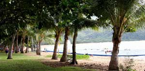 horseshoe bay magnetic island