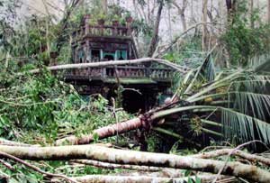 cyclone larry  at paronella park