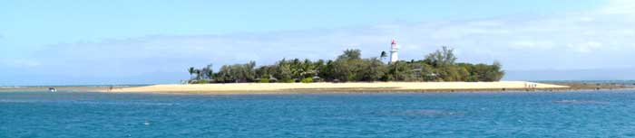 low isles reeftrip from port douglas