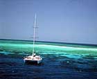 upolu cay on great barrier reef from port douglas