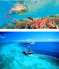 queensland scuba diving