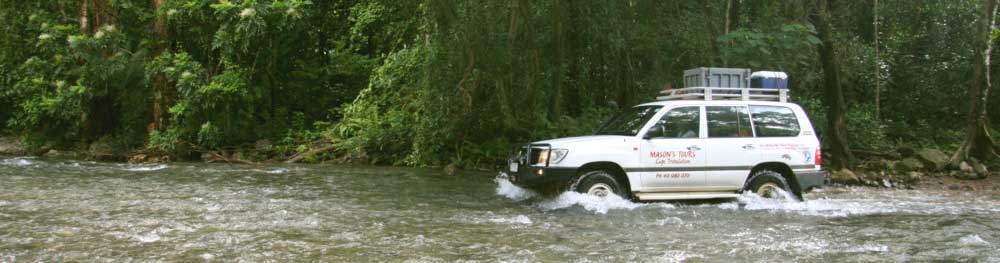 four wheel drive tour with masons tours in cape tribulation in australlia