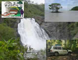 cape tribulation four wheel drive safari to bloomfield and cooktown