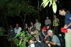 cape tribulation nightwalk with jungle adventures