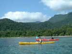 cape tribulation seakayaking