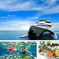 queensland scuba diving