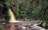 tasmania wilderness