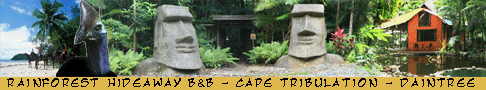 bed and breakfast accommodation in cape tribulation