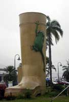 big gum boot in tully