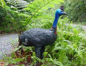 cassowary letterbox in cape tribulation