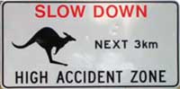 kangaroo warning sign