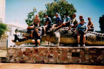 picture of crocodile  near cairns north queensland