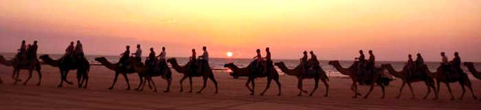 camel riding tours in australia